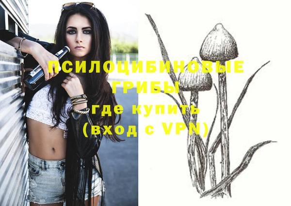 синтетический гашиш Алексин