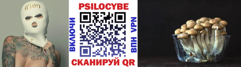Галлюциногенные грибы Magic Shrooms  купить  цена  мега сайт  площадка официальный сайт  Нолинск 